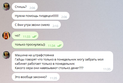 Пост 2 или как Коза с ГИБДД бодалась - Моё, Штрафстоянка, Телефондоверия, Длиннопост, Машина