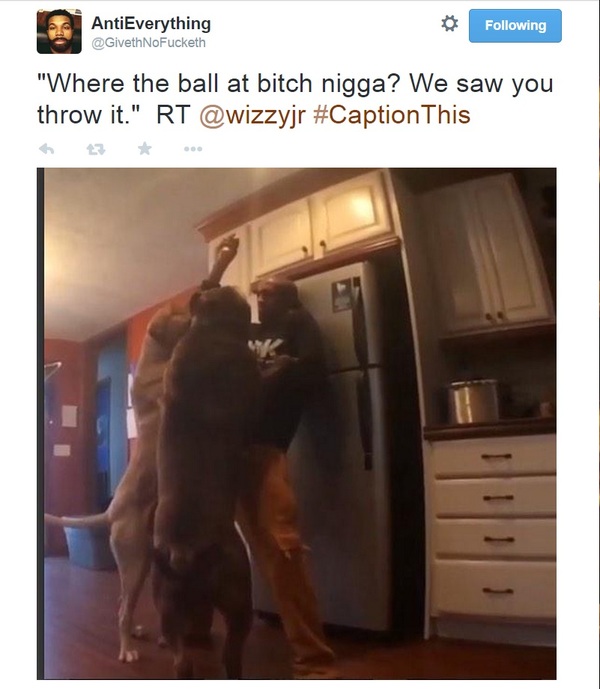 Where's the ball, nigga? - Dog, Twitter, Dangerous