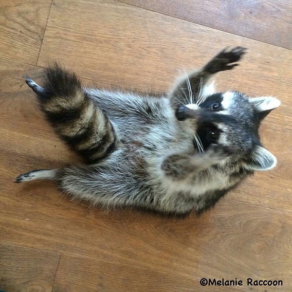 ��� ����� ���� �� ������� �� �����