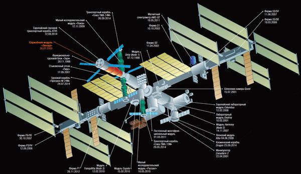 ��� ����������� 18 ���