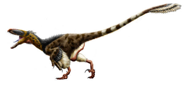 Prehistoric killing machines or giant raptors. - My, Dinosaurs, Paleontology, Raptor, Longpost