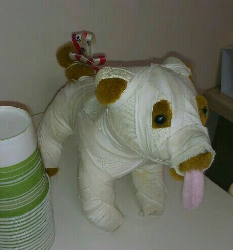 Toy in the veterinary clinic - My, Dog, Soft toy, Kripota, Mummy, Vet clinic