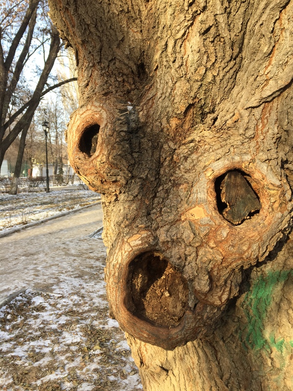 Чеее? - Моё, Дратути, Саратов, Детский парк