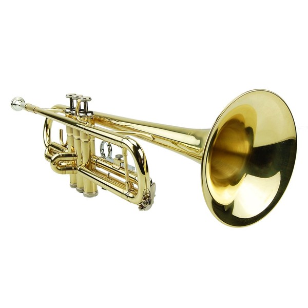 Trumpet , Mr President, Trumpet,  , , 