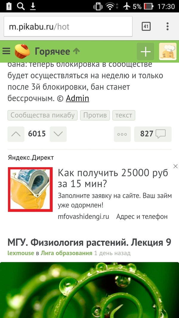 Your loan has been approved! - Typo, Yandex., Advertising