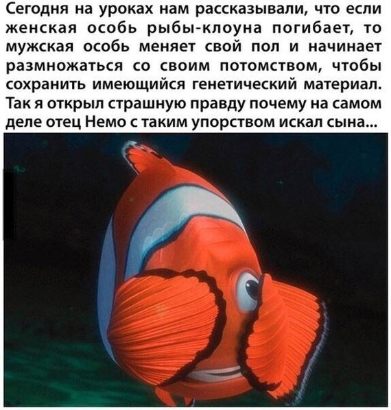 Run Nemo, RUN!