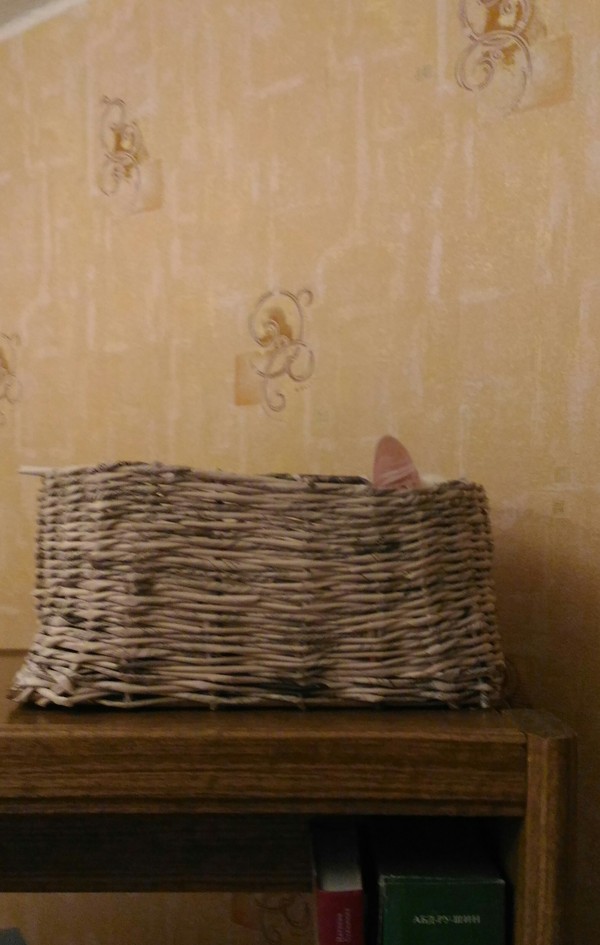 ��� �� �������