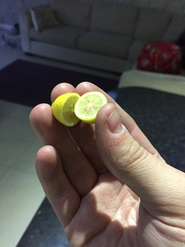 Tiny lemon. - Lemon, Miniature, , Little, Фрукты, Photo