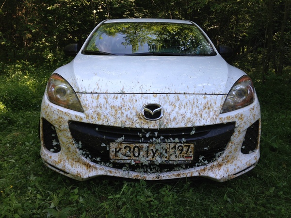  , , Mazda, 