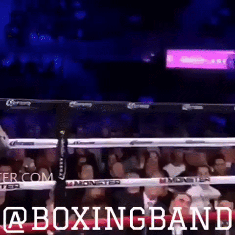 When you're not Roy Jones - Boxing, Roy Jones, , Sport, Hit, Karma, GIF