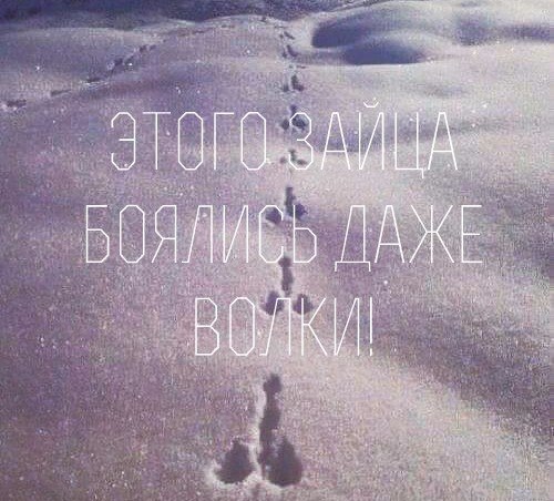 � ���� ���� ���� �� ������� ������.