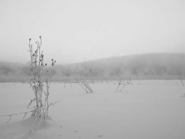 Frosty November in Siberia - My, Siberia, The photo, Landscape, freezing, November, Snow, Russia, Weather