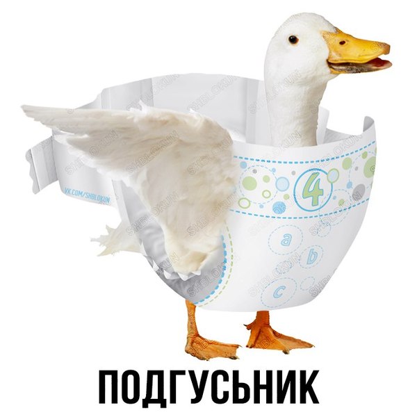 diaper! - Гусь, Diaper, , Rave