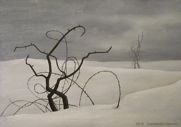 Post 4646002 - My, Bush, , Snow, Winter, Landscape, Surrealism