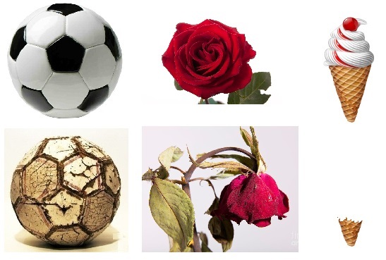 Nothing is eternal... - Sport, Flowers, Football