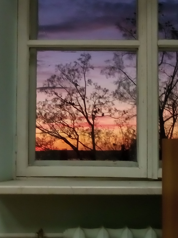 A couple of English.. - Window, My, English language, Sunset