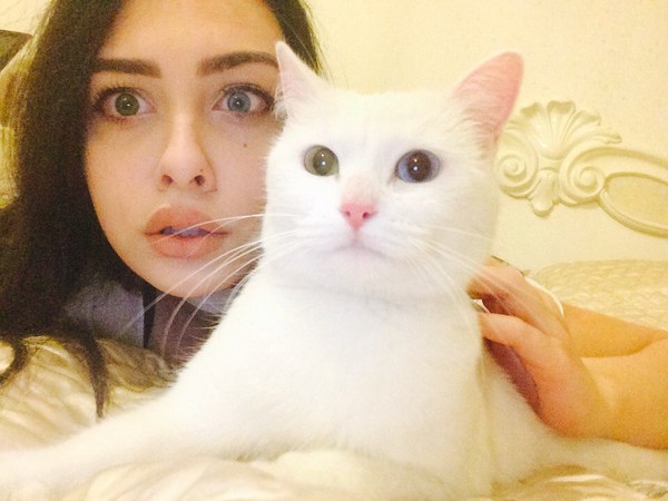 Perfectly similar - Girls, cat, Eyes