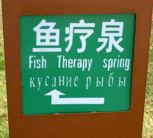 China. Cool translations into Russian! - Humor, China, Longpost