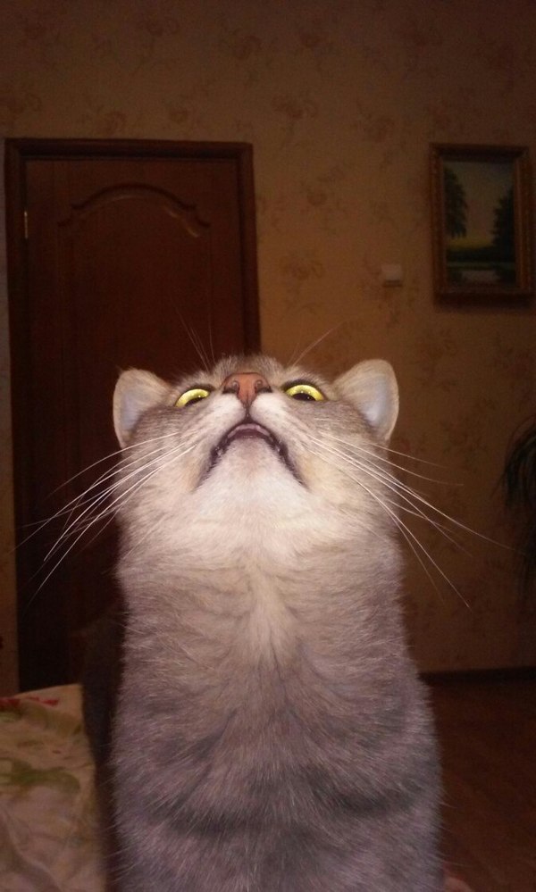 Призыв Ктулху