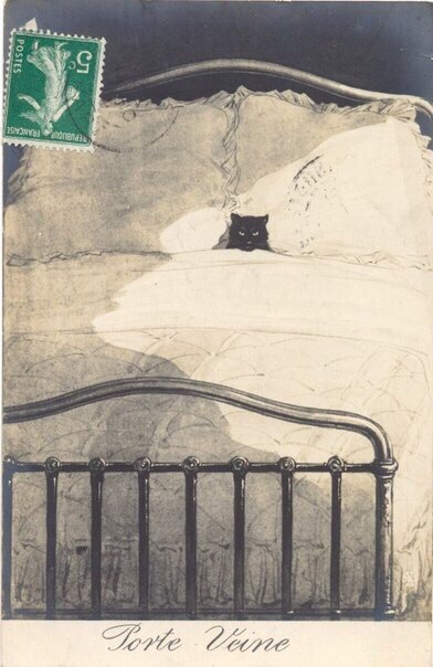 Postcard, 1913 - mail, Postcard, cat, 1913