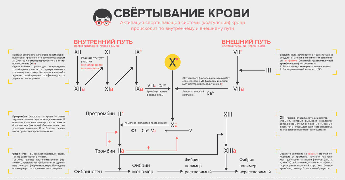 Схема сворачивания крови