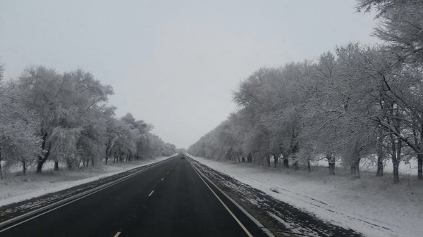 The beauty of nature without filters - My, Black and white, Winter, Snow, Road