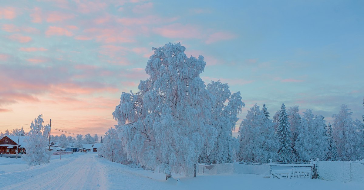 Фото Зима Природа Деревня