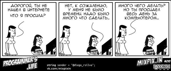 Programmer's wife - My, Comics, Programmer, Translation, Programmers Life