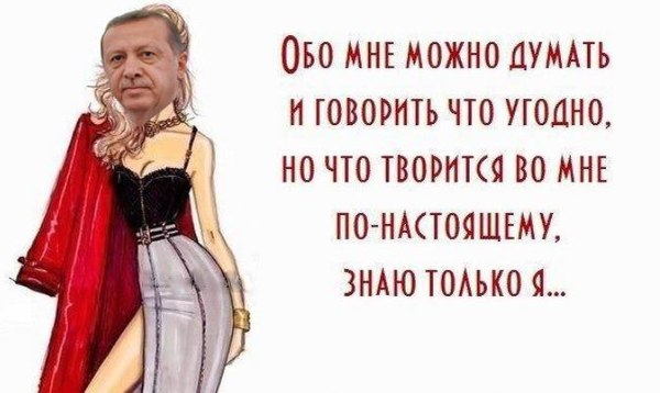 «Казнить нельзя помиловать». Что делать с зарвавшимся Эрдоганом? - Моё, Реджеп эрдоган, Сергей Лавров, Турция, Война в сирии