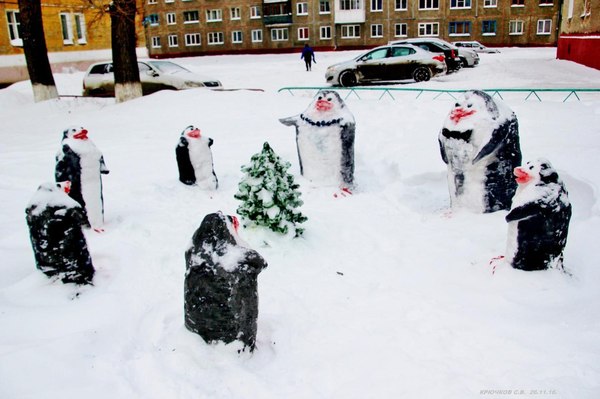 Friday Penguin Meeting - Kemerovo, Winter, Snow, Penguins