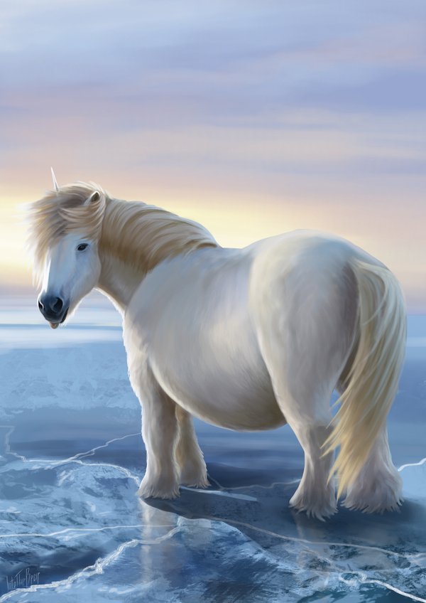 ��� ��� �������� �������� ��������