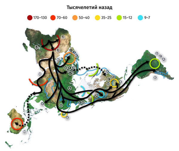 Антропологические типы человека - Земля, Человечество, Антропология, Карты, Фенотип, Инфографика, Длиннопост