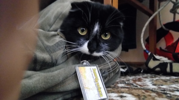 Морти путешественник