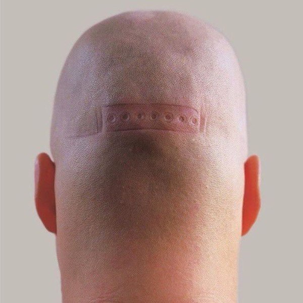 hitman - Bald, Head