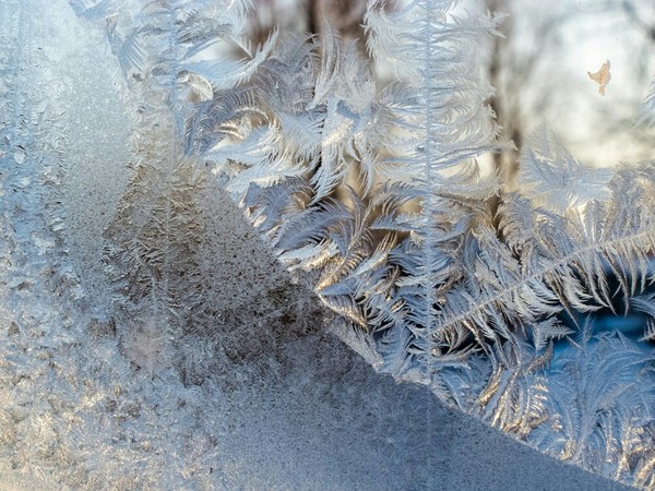 Painter Frost - freezing, Patterns, Window, Not mine, Longpost