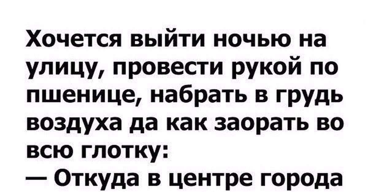 Выйду ночью текст. Хочется выйти ночью на улицу провести рукой по пшенице. Хочется выйти на улицу провести рукой по пшенице. Выйду ночью в кухню с котом.