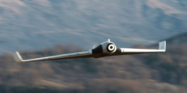   Parrot Disco. , Parrot Disco, 