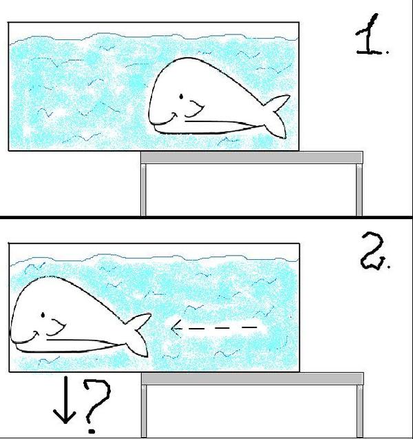 Will the aquarium fall? - My, Whale, Aquarium, Physics, Faq, Want to know everything, inquisitive minds, Yes or no, First post