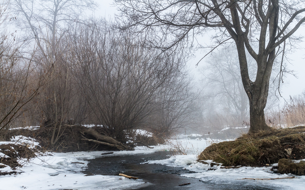 Foggy winter morning - My, Photo, River, Tree, Winter, Fog, Canon, Canon 7d