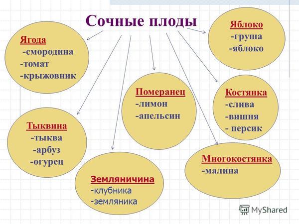 Жизнь не станет прежней - Моё, Обман, Арбуз