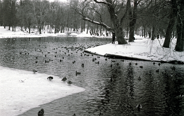 Winter. - My, Film, FED-5v