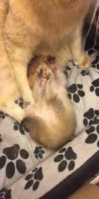 , ...