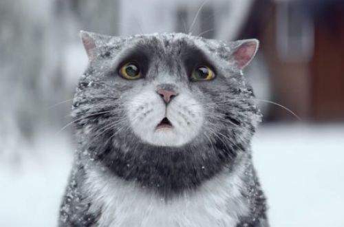 �������, ��������, ������� � ����, ����������� ! ����� ���� ������ !