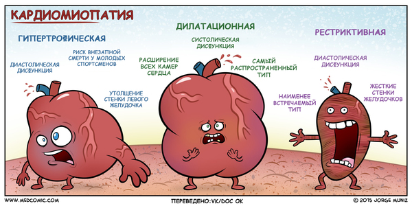 Cardiomyopathy - Cardiology, Health, The medicine, Comics, Informative