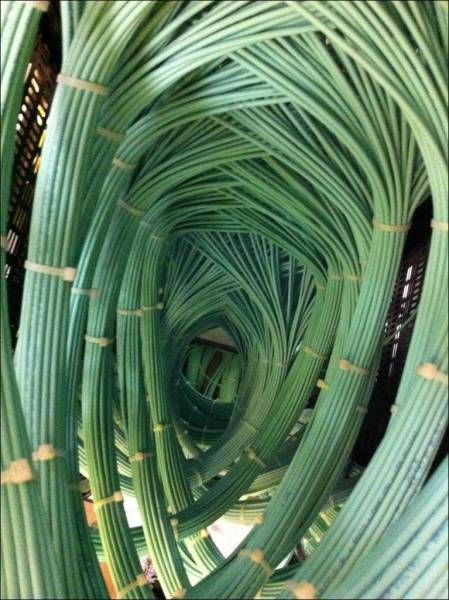 Joy of the admin - Cables, Twisted pair, Admin, Perfectionism, , Server, Cable