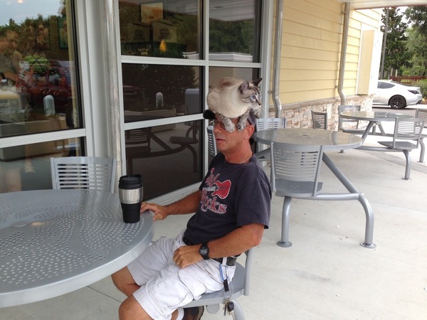 ���������  ����� .