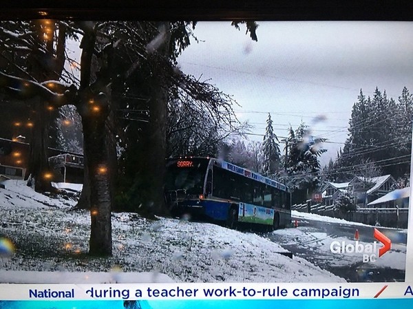 Polite buses - Bus, Canada, Vancouver, Вежливость