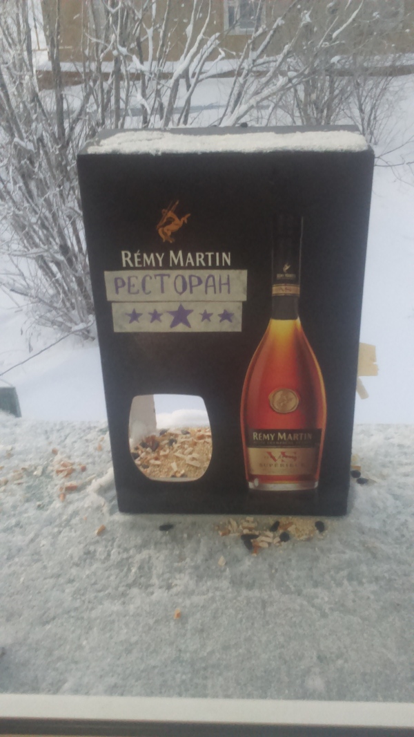 Элитный птичий ресторан Remy Martin - Моё, Кормушка, Для птиц, Элитный, Ресторан, Моё, Птицы