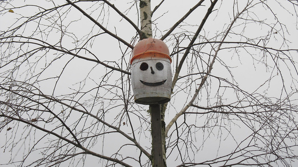 Neighbor made a birdhouse G:-) - Humor, Birdhouse, Smile