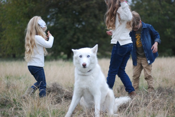 Trying to take a photo. - People, Dog, Animals, 